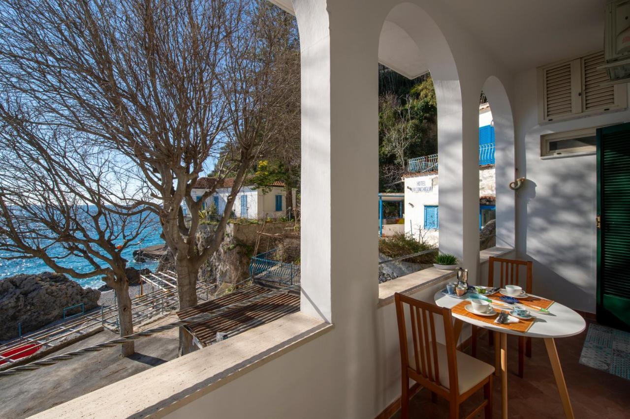 Sea Pearl * Amalfi