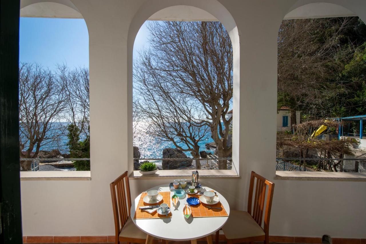 Sea Pearl * Amalfi