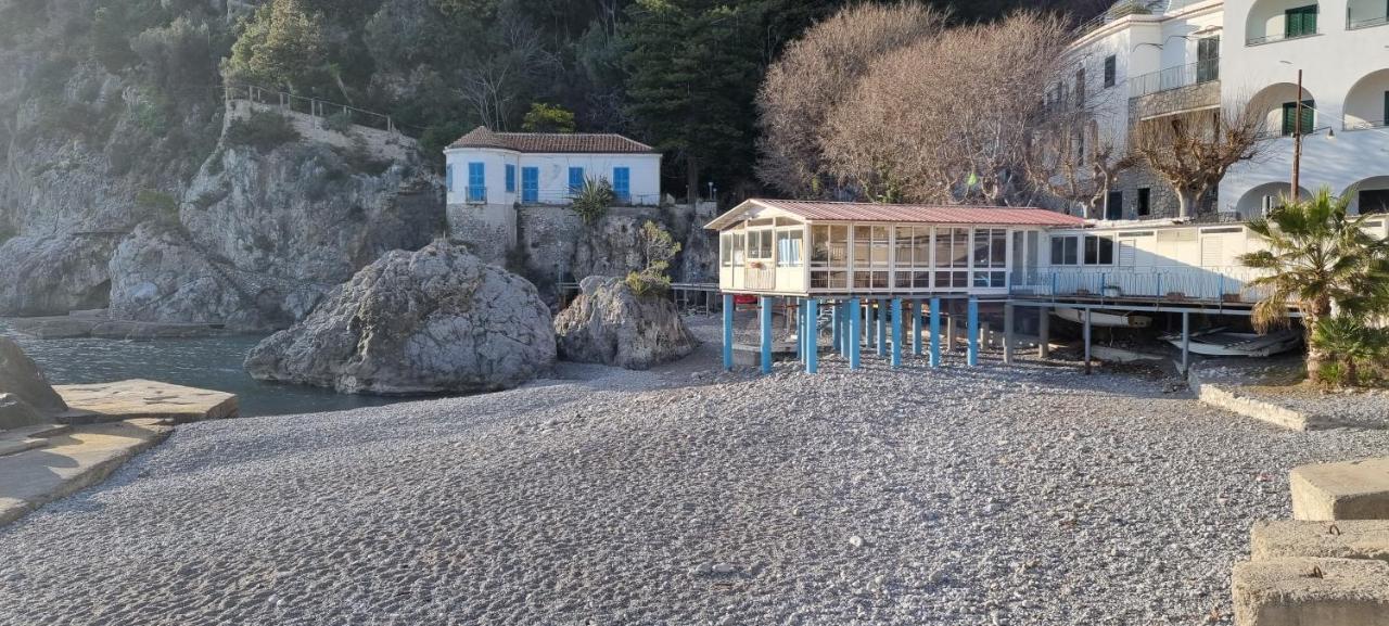 Appartement Sea Pearl *
